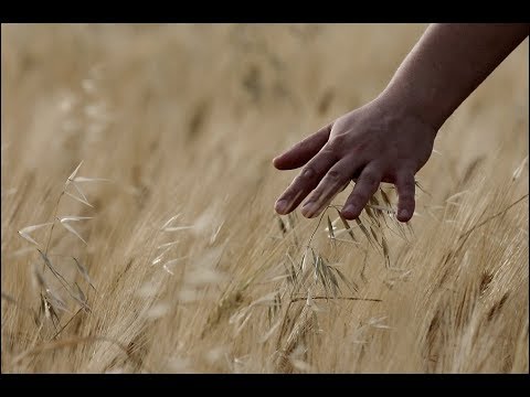 O judecata la tribunal ★ poezie crestina romaneasca