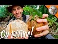 Coconut Breakfast