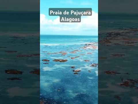 Praia de Pajuçara Alagoas contém os melhores restaurantes, artesanato e passeio para as piscinas.