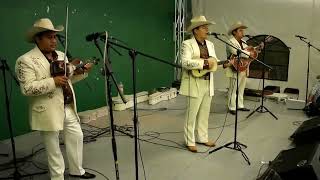 Llevale esta carta a Esther - Huapangueros Diferentes