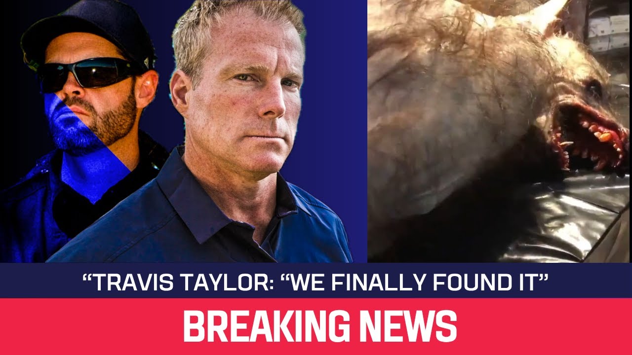 YouTube Thumbnail Downloader FULL HQ IMAGE