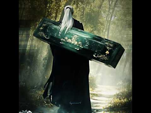 Pria dengan peti mati di punggungnya🥺🥀||JJ DONGHUA RENEGADE IMMORTAL #wanglin #limuwan #donghua