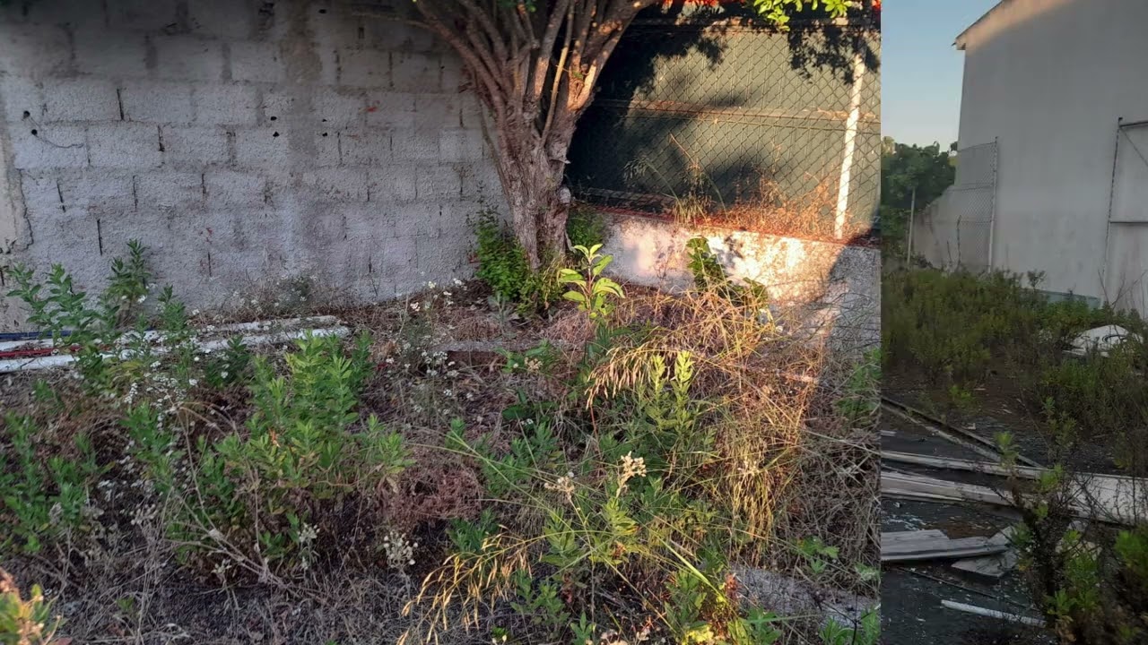 Vídeo do imóvel