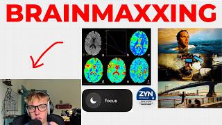 the ultimate guide to brainmaxxing.