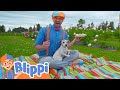 Blippi Visits A Farm And Finds Animals Animals For Kids Animal Cartoons Learn About Animals