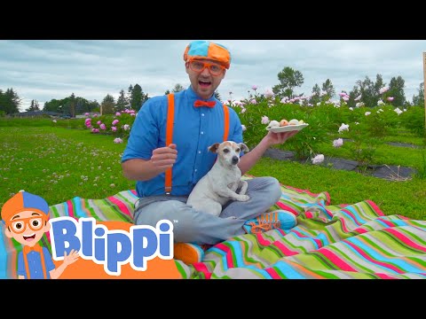 Blippi Visits a Farm and Finds Animals! | Animals for Kids | Animal Cartoons | Learn about Animals