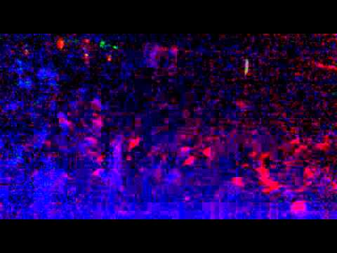 Lydia Sanz@11Aniversary Matinée Amnesia