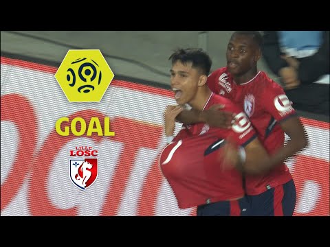 Goal Luiz ARAUJO (12') / LOSC - ESTAC Troyes (2-2) / 2017-18