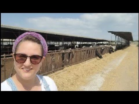 AMERICAN living the KIBBUTZ Life - Kibbutz Afik