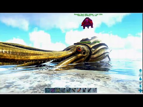 Ark Survival Solo Beach Squid / Tusoteuthis Tame