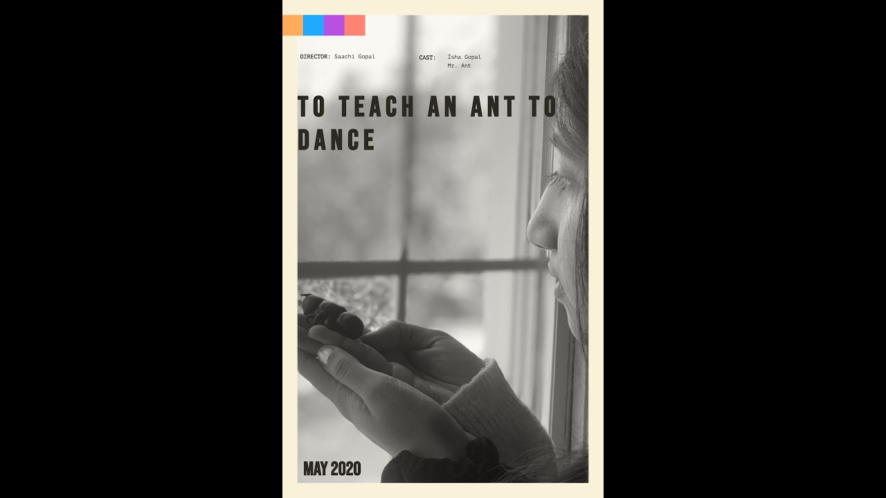 To Teach an Ant to Dance trailer