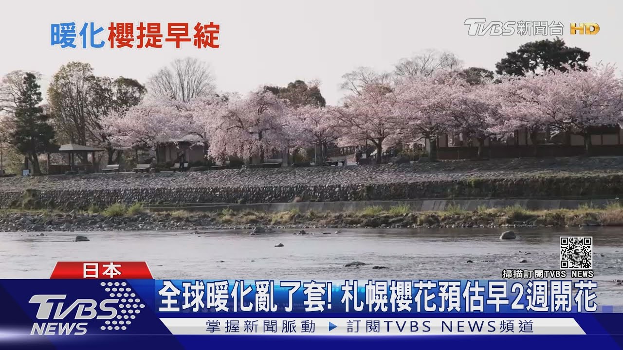 才四月初日本各地櫻花飄落 專家:暖化警訊