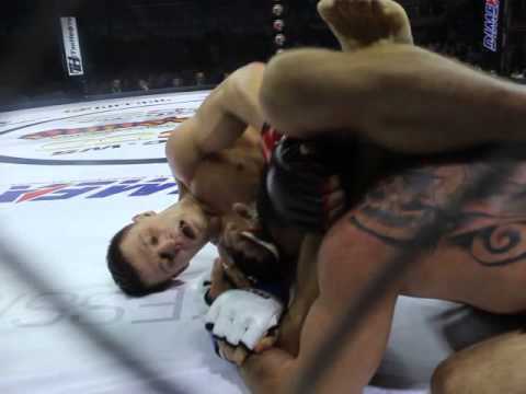 Куряне остались без наград на 