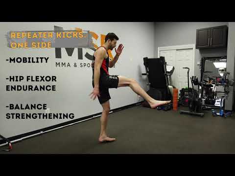 Combat Conditioning Program Striker Series 2