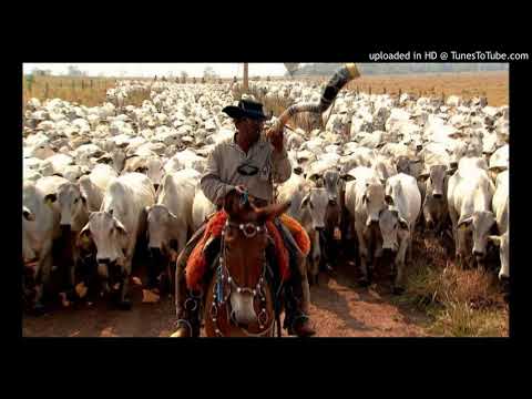 SOM DO BERRANTE TOCANDO BOIADA TREM BONITO DE OUVIR