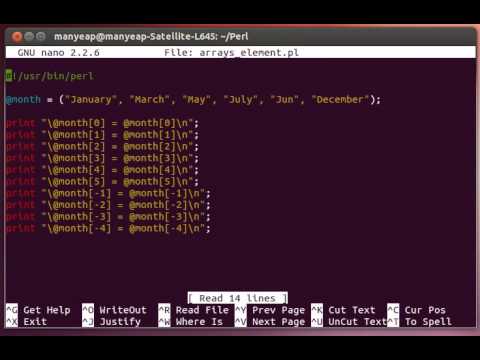 Perl Arrays Element Example