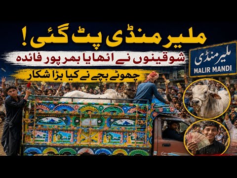 Malir Mandi Karachi Latest Rate Update | 12 May 2026 | Cow Mandi Karachi | Qurbani 2026