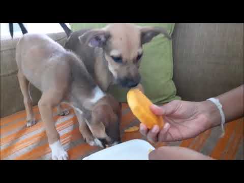 Lovely  කෑමක්