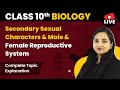Secondary Sexual Characters Male And Female Reproductive System Class 10 Biology Explanation