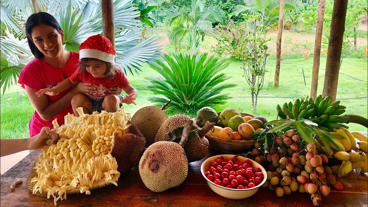 Christmas dinner prepared with fruits from the farm