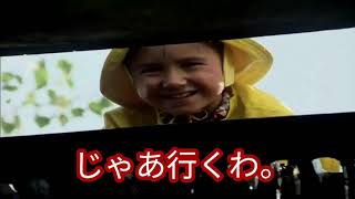 キラーワイズは静かに暮らしたい