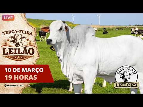 VALE DO BOI LEILOES - INHUMAS GO  - LEILAO VIRTUAL E PRESENCIAL -  17/03/ 2026
