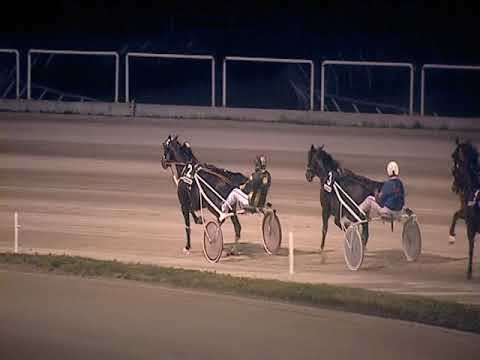 Trotto 31/12/2018 - 6ª corsa