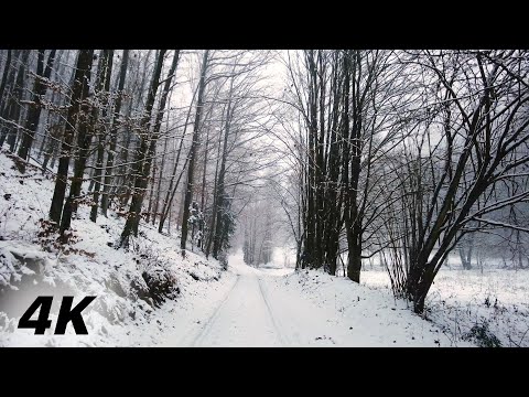 What Past To Hold On To - Walking In Crunchy Snow In Fog 4k ASMR