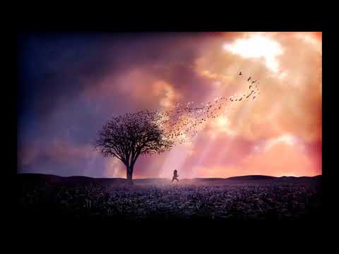 The Lovely Bones - 8M1 (OST - Extended)