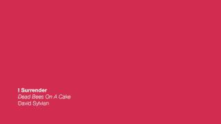 I Surrender - Dead Bees On A Cake - David Sylvian