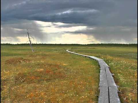 Vesa-Matti Loiri ~ Ystävän Laulu