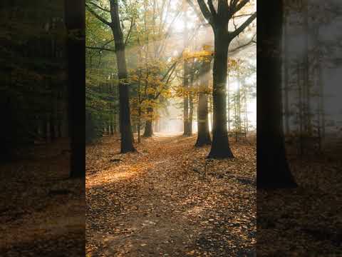 [Solved] M.I.K.E. - Global Trance Grooves 5 (09-09-2003) Track 15