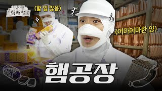 햄 생산량 500kg..? 집 찾아갈 거야 Put it back.. ㅠ｜[신입사원 심재영] EP.02