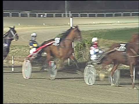 Trotto 05/02/2017 - 6ª corsa