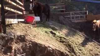 Avi Ben David showed how a horse corral and fencings gets d