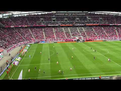 Tor Demirović VfB Stuttgart vs RB Leipzig 17.05.2025