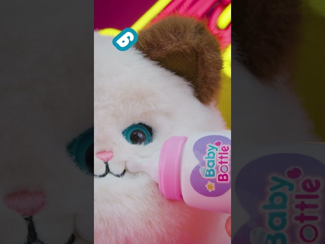 Vídeo relacionado con Figuras de Gatos Realista, Set de Juguetes de Figuras de Gatito, Adornos de Gatitos en Miniatura para Decoración de Tartas, Decoración del Hogar, Regalo de Cumpleaños, 5 Piezas