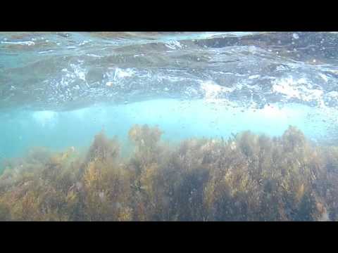 Ялта под водой 09.08.2017