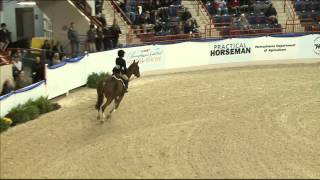 118 CHASING HEAVEN   Nina Samuel   Amateur Owner Hunter 3 6