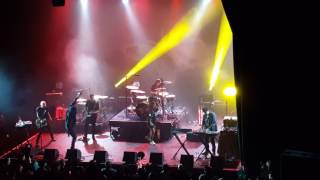 The Avalanches- Radio