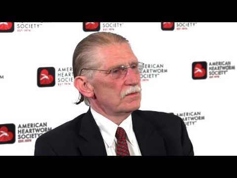 Why not treat heartworm-infected dogs with doxycycline prior to melarsomine?