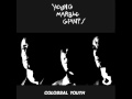 Young Marble Giants - Wurlitzer Jukebox