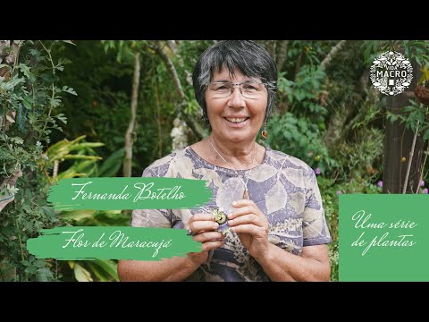 Fernanda Botelho // Flor de Maracujá