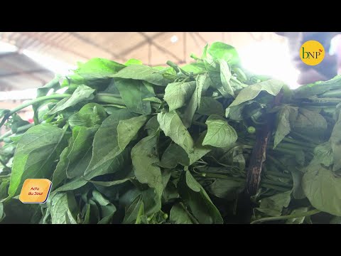 Isogo, imboga zivura indwara y'igisukari.