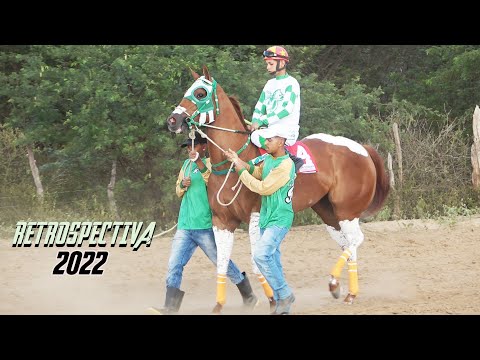 RETROSPECTIVA 2022 - As melhores do ano - Corrida de cavalos