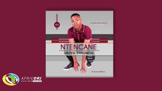 Ntencane - Induku Zechalaha (Official Audio) #Ntencane