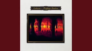 The Tao Of The Scarred