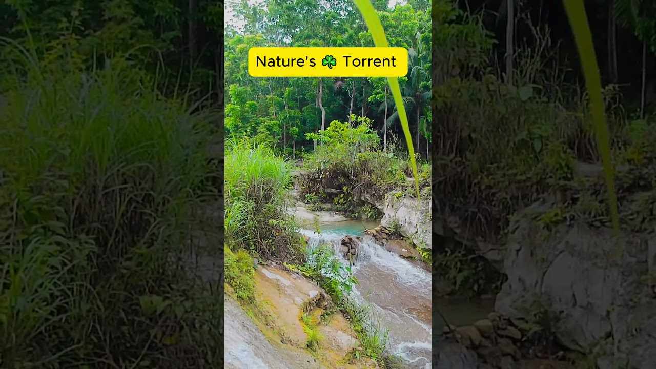 YouTube Short thumbnail