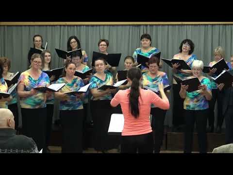 13 Jaroslav Ježek - Nikdo nic nikdy nemá