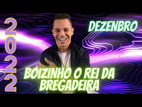BOIZINHO O REI DA BREGADEIRA ATUALIZADO 2022 #boizinho  #bregadeira  #ludycds